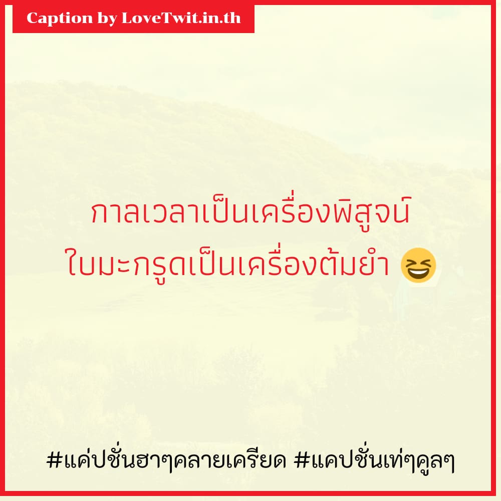 🌲 คำคมแค่ปชั่นฮาๆคลายเครียด จากชาว Pinterest ต้องหาทำ