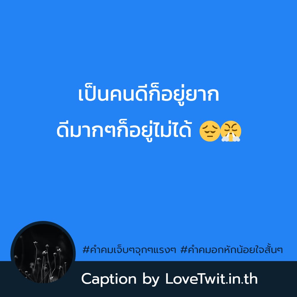 🚨 คำคมเจ็บๆเท่ๆ จาก Twitter