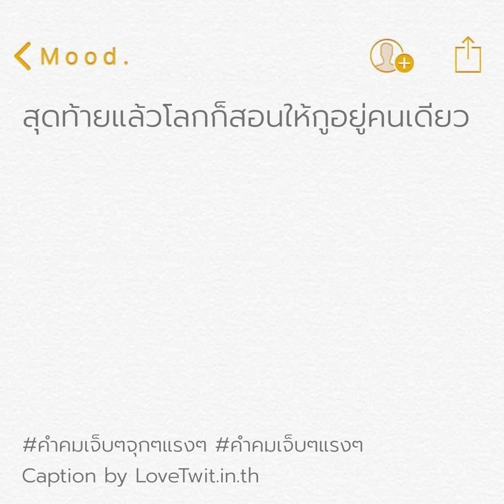 🍄 สเตตัสคําคมเจ็บๆฮาๆ จากชาวไอจี