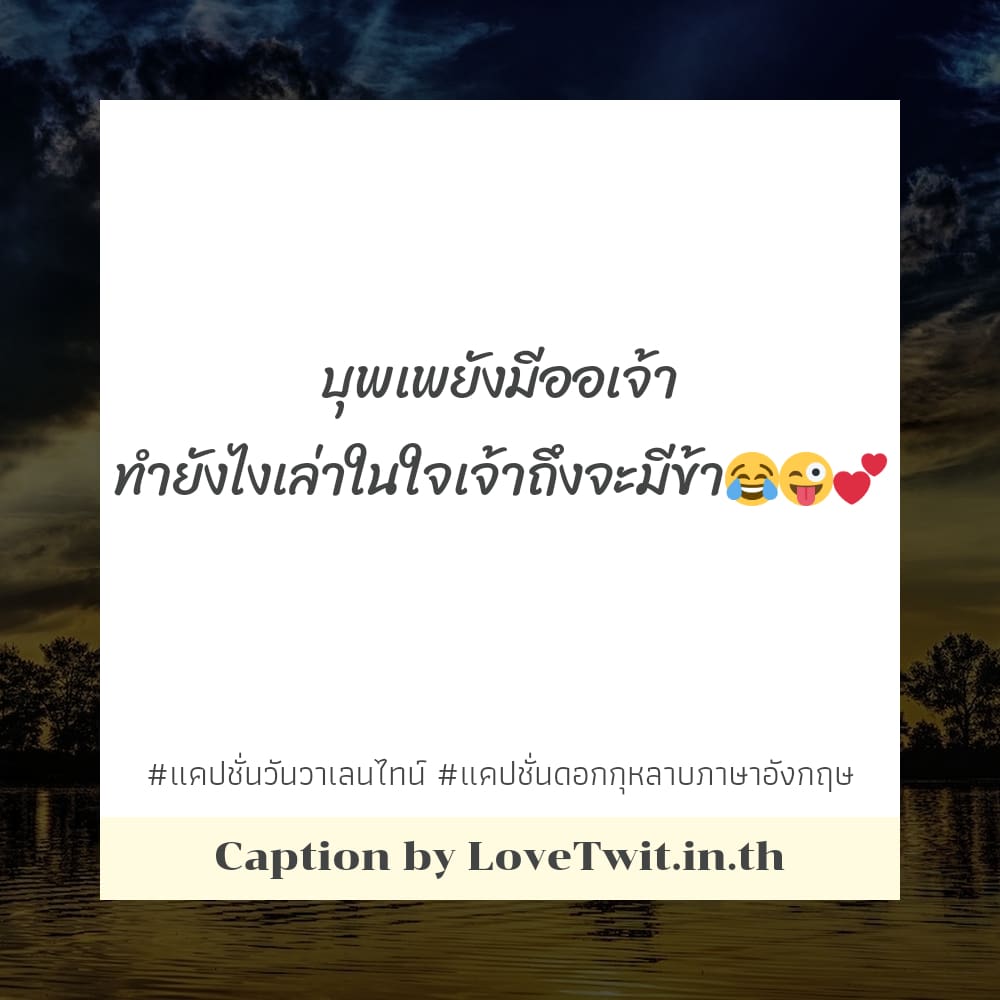 😒 แคปชั่นกุหลาบกับผู้หญิง สเตตัสแค่ปชั่น.จดทะเบียนสมรสวันวาเลนไทน์