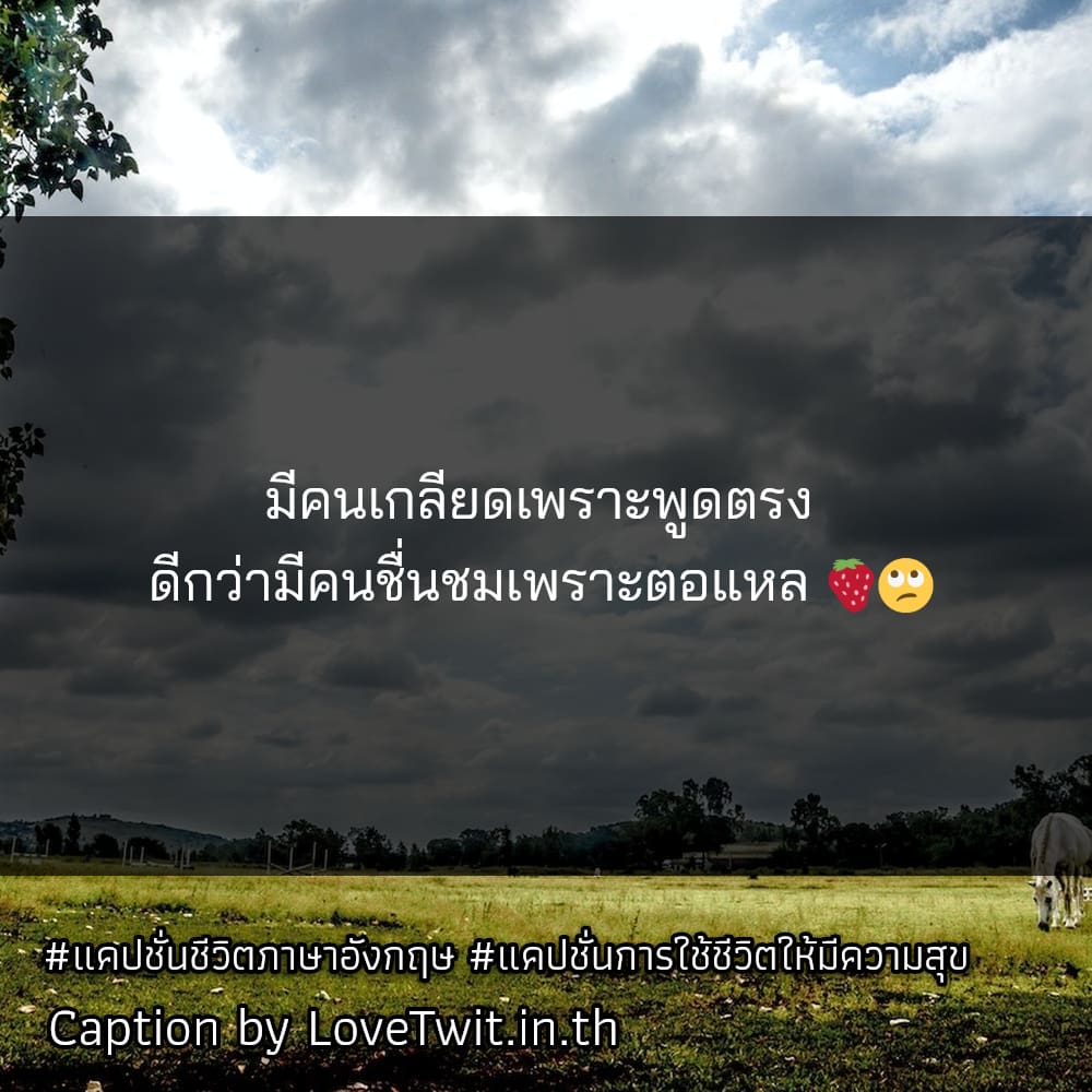 🈁 แคปชั่นชีวิตภาษาอังกฤษ แคปชั่นชีวิต โคตรเด็ด