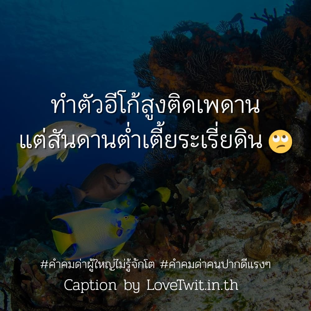 💙 สเตตัสคํา-ด่า-แบบ-ไฮ-โซ สเตตัสด่าแรงๆเจ็บๆ จากชาวเฟส