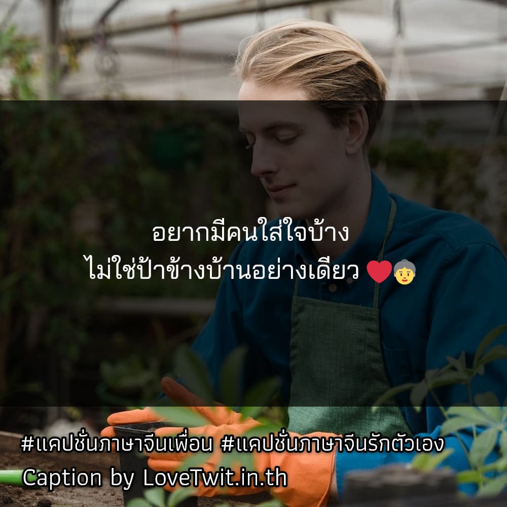 🚓 แคปชั่นภาษาจีนชีวิต จากเฟสบุ๊ค