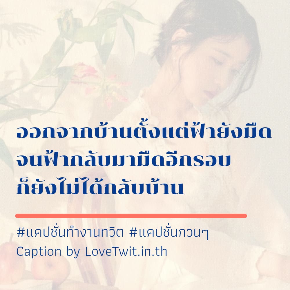 🍑 สเตตัสคําคมคนทํางานฮาๆ โพสต์แล้วคนอ่านยิ้ม