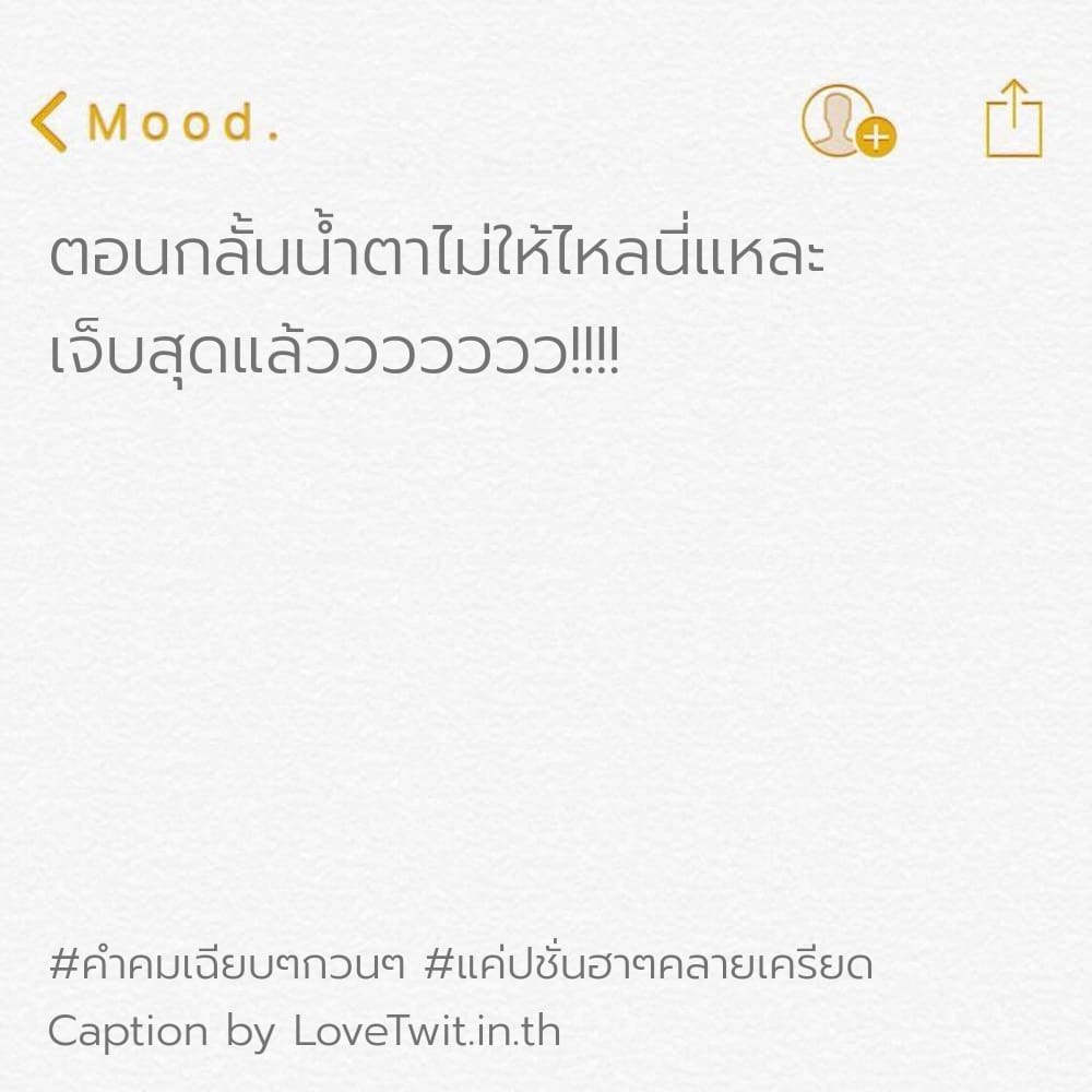 🛅 แคปชั่นคําคมเฉียบๆกวนๆ จาก IG