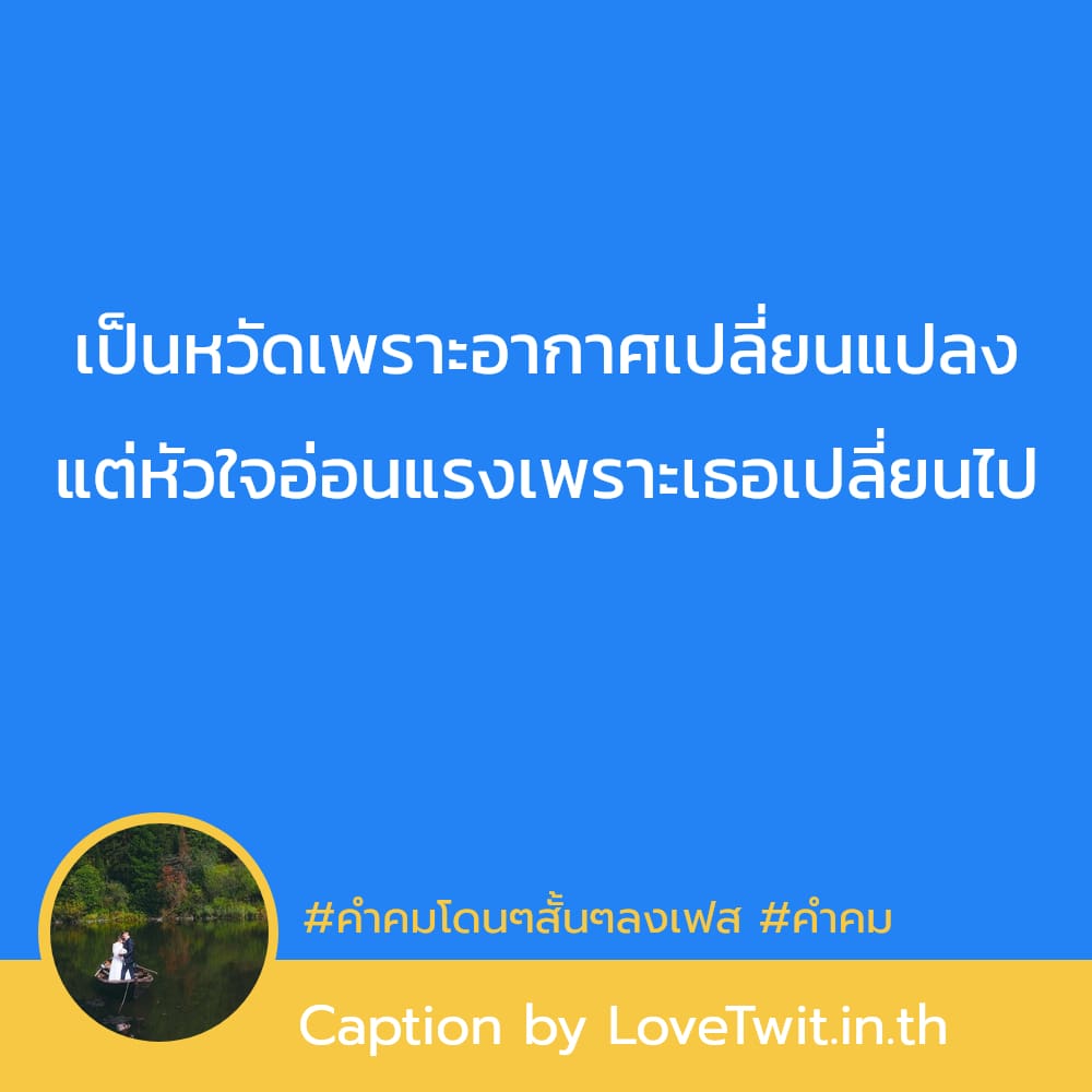 😸 50คำคมตลก คำคมคําคมสั้นๆความหมายดีๆ