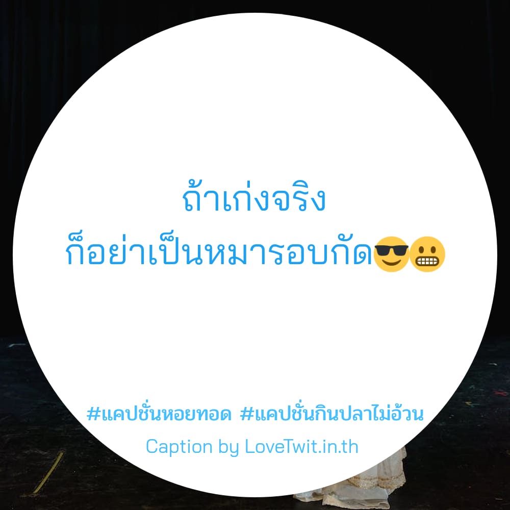 🏨 แคปชั่นปลาสวยงาม คำคมแค่ปชั่น.ปลาทะเล จาก Line