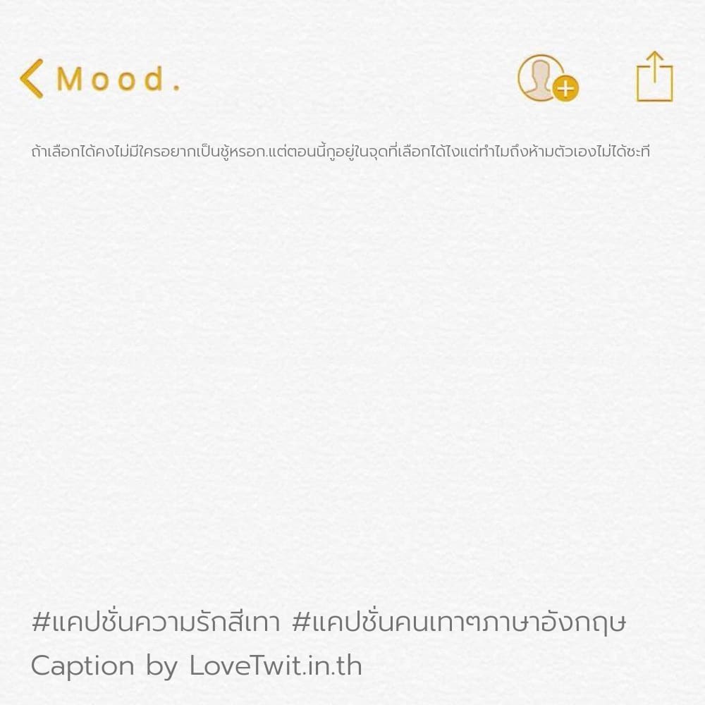 🔥 สเตตัสคนเทาๆคือ ใหม่ 100%